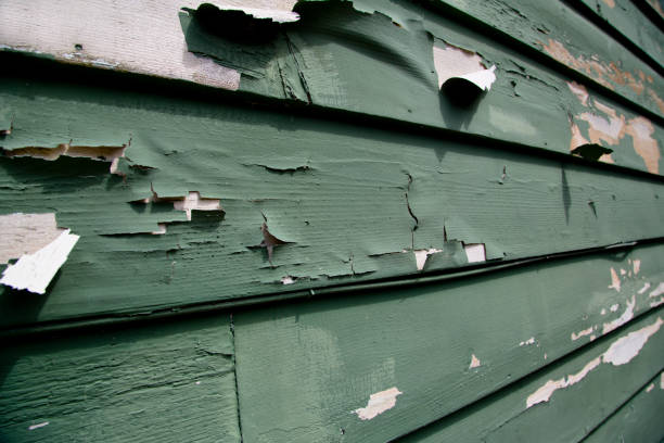 Best Moving and Downsizing Cleanouts  in Start, LA
